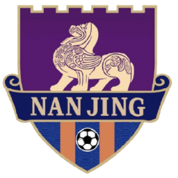南京队